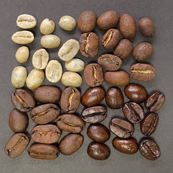 Grid of light and dark coffee beans at our Frisco coffee shop