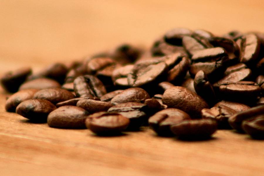 Beans used in San Marcos coffee