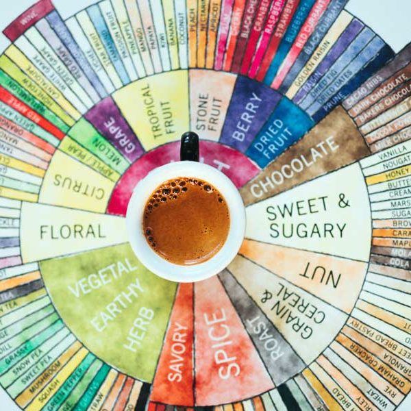 Cup of Coffee on top of a circular flavor chart