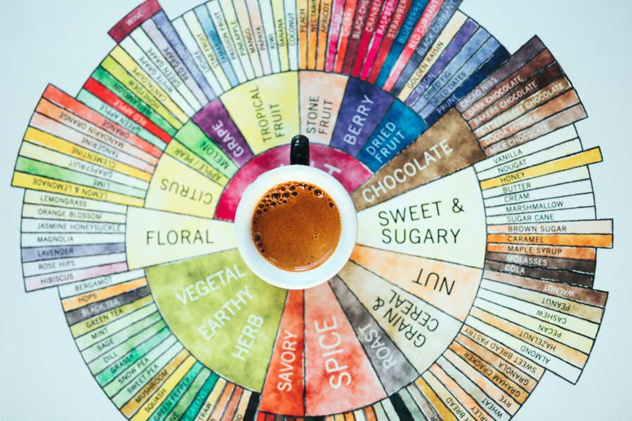 Cup of Coffee on top of a circular flavor chart