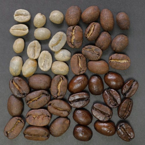 Different levels of roast on different coffee beans in San Marcos