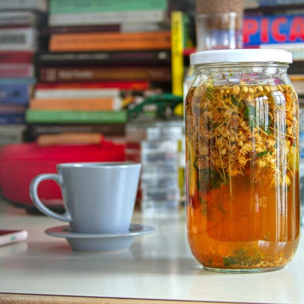 Jar of cold brewed herbal tea on a desk