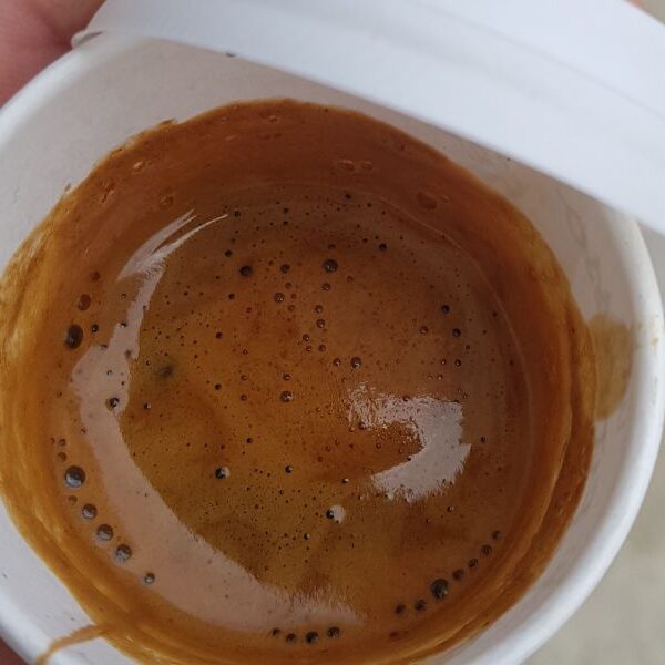 Close up of a hand holding a paper coffee cup.