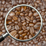 A close-up of coffee beans viewed through a magnifying glass, with a blurred background of more coffee beans.