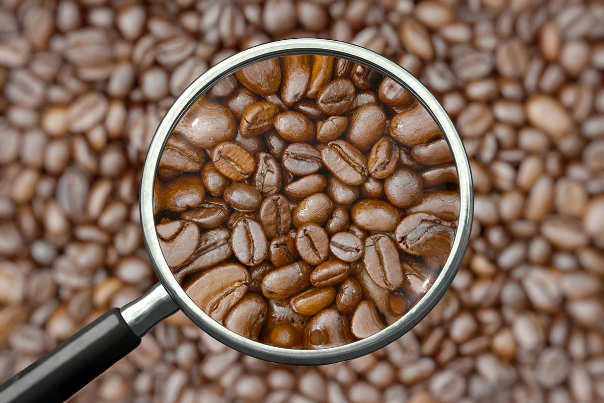 A close-up of coffee beans viewed through a magnifying glass, with a blurred background of more coffee beans.